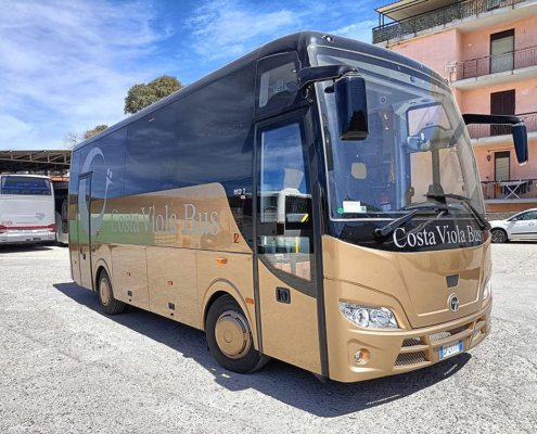 costa viola bus 11