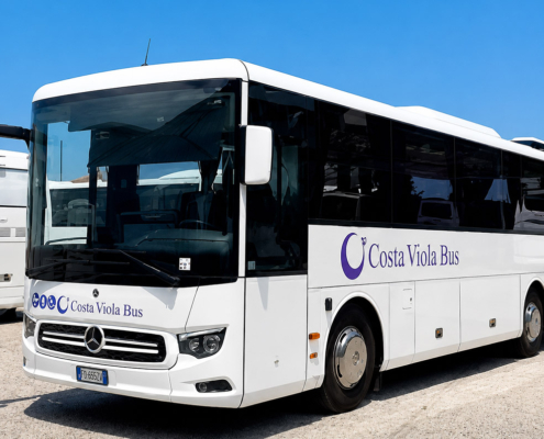 costa viola bus 12