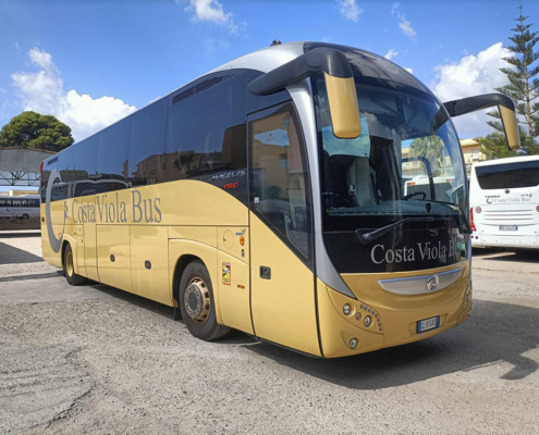 costa viola bus 7